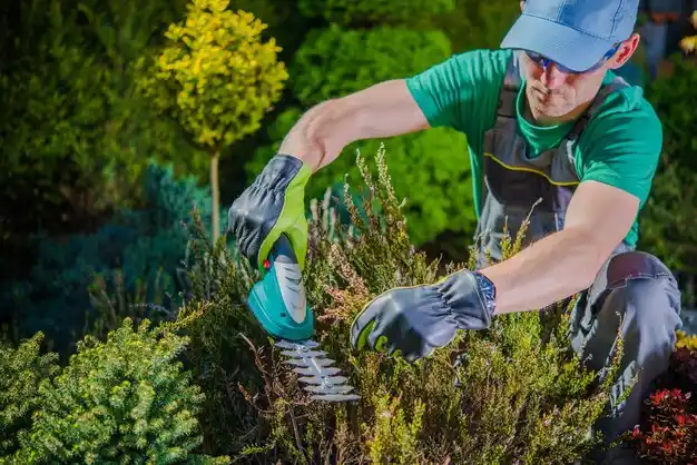 landscaping services Seven Hills